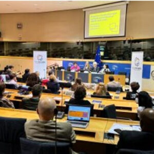 La Conferenza Finale del Progetto DialogUE